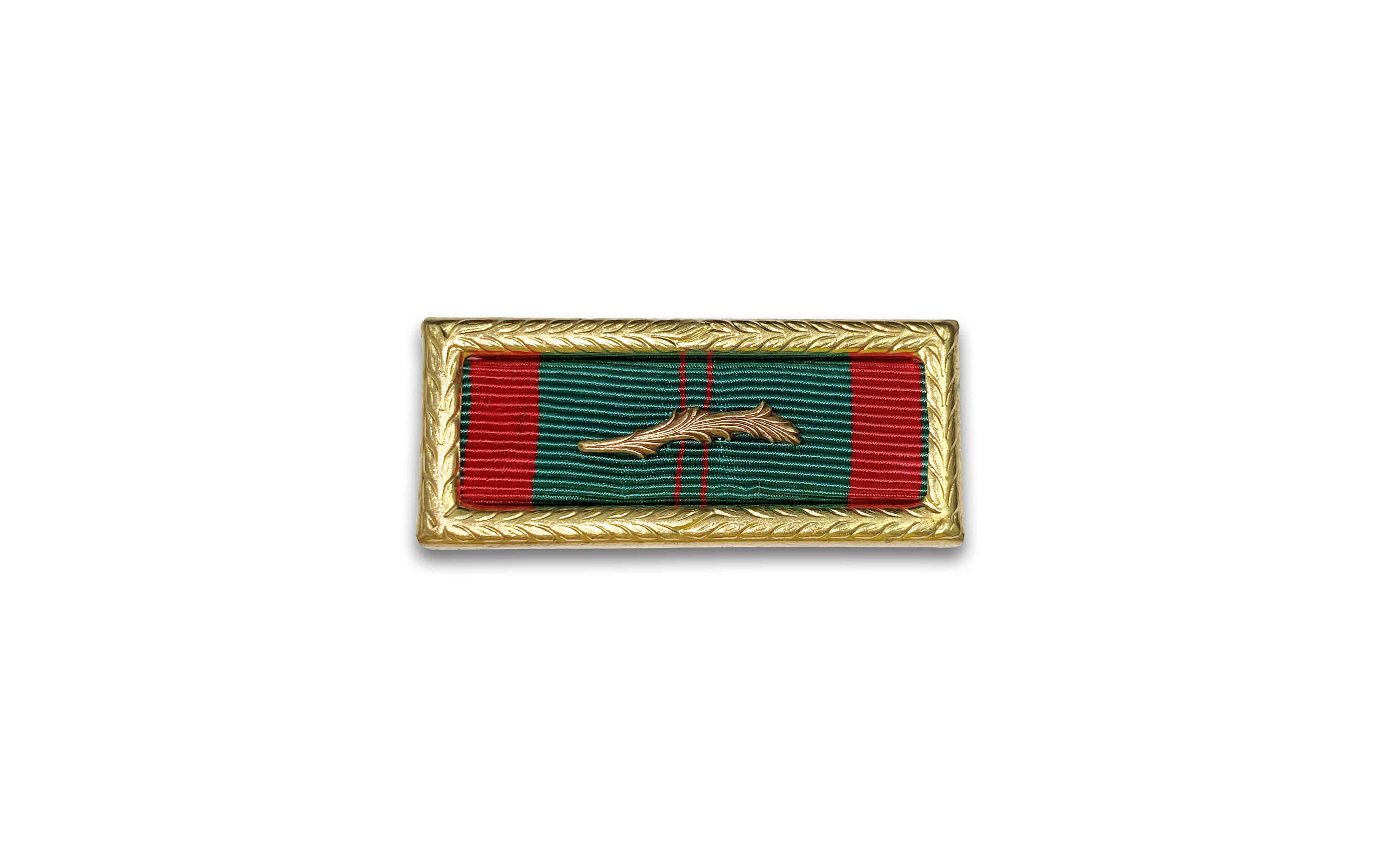 Vietnam Civil Action Unit Citation with Palm