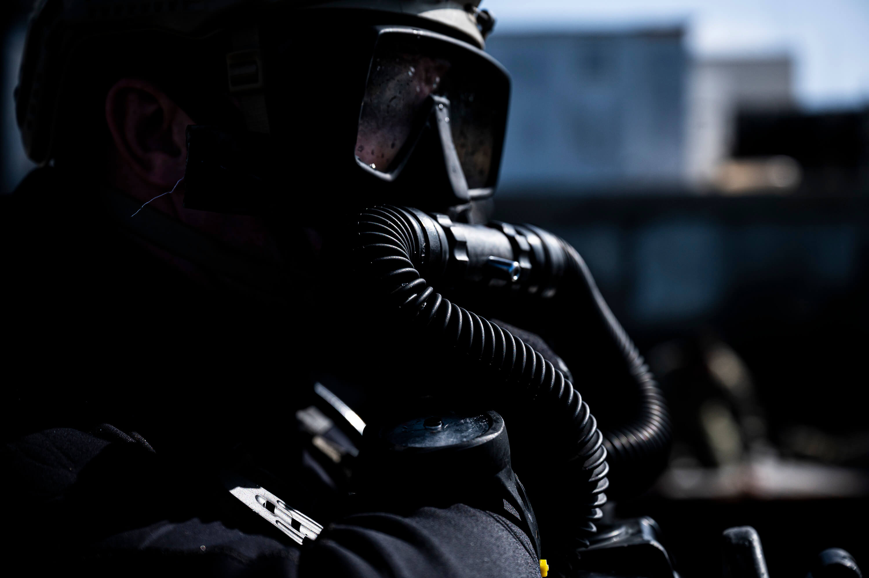 "The Harambe" Frameless Dive Mask