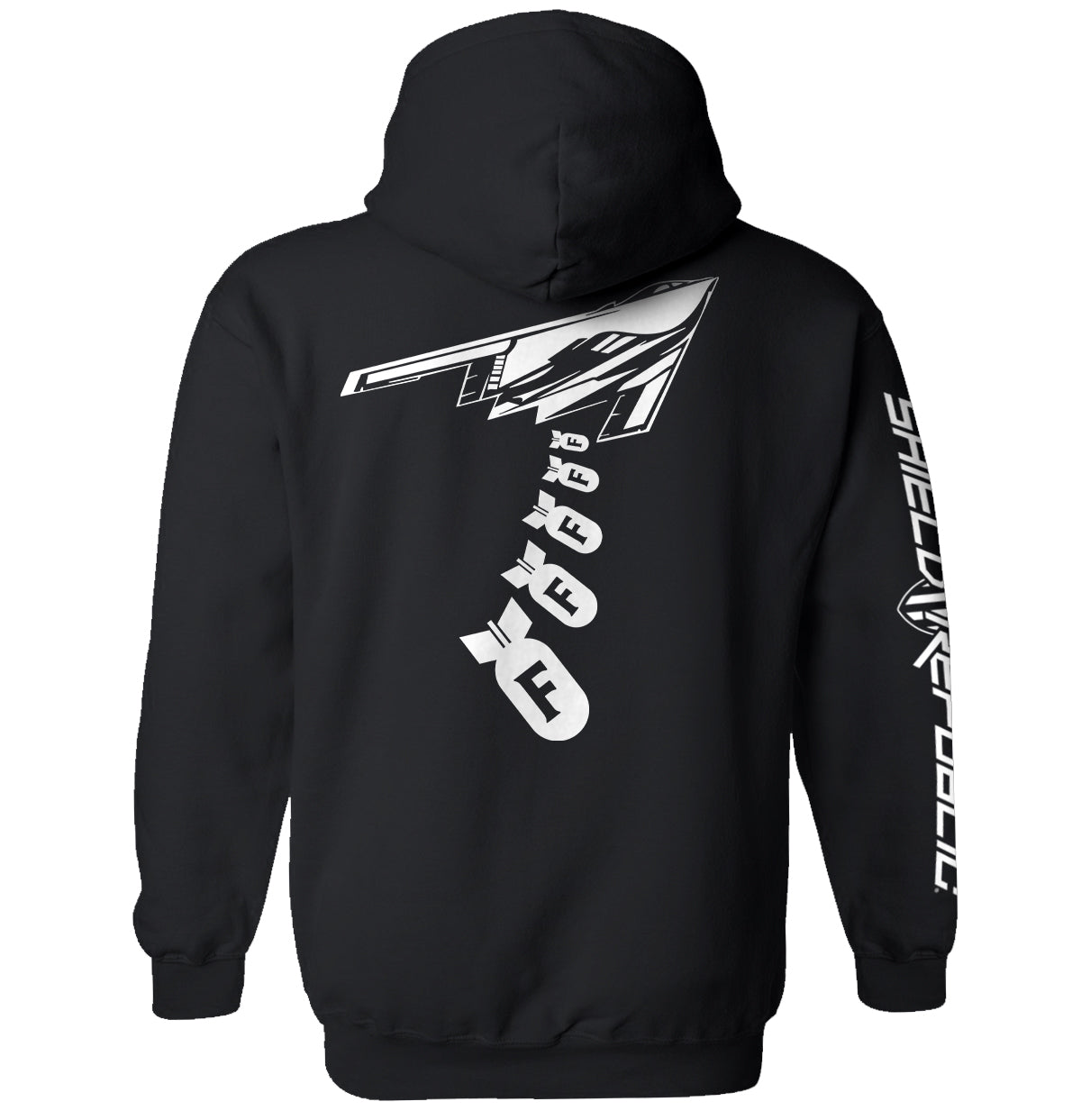 Dropping F Bombs B2 Bomber