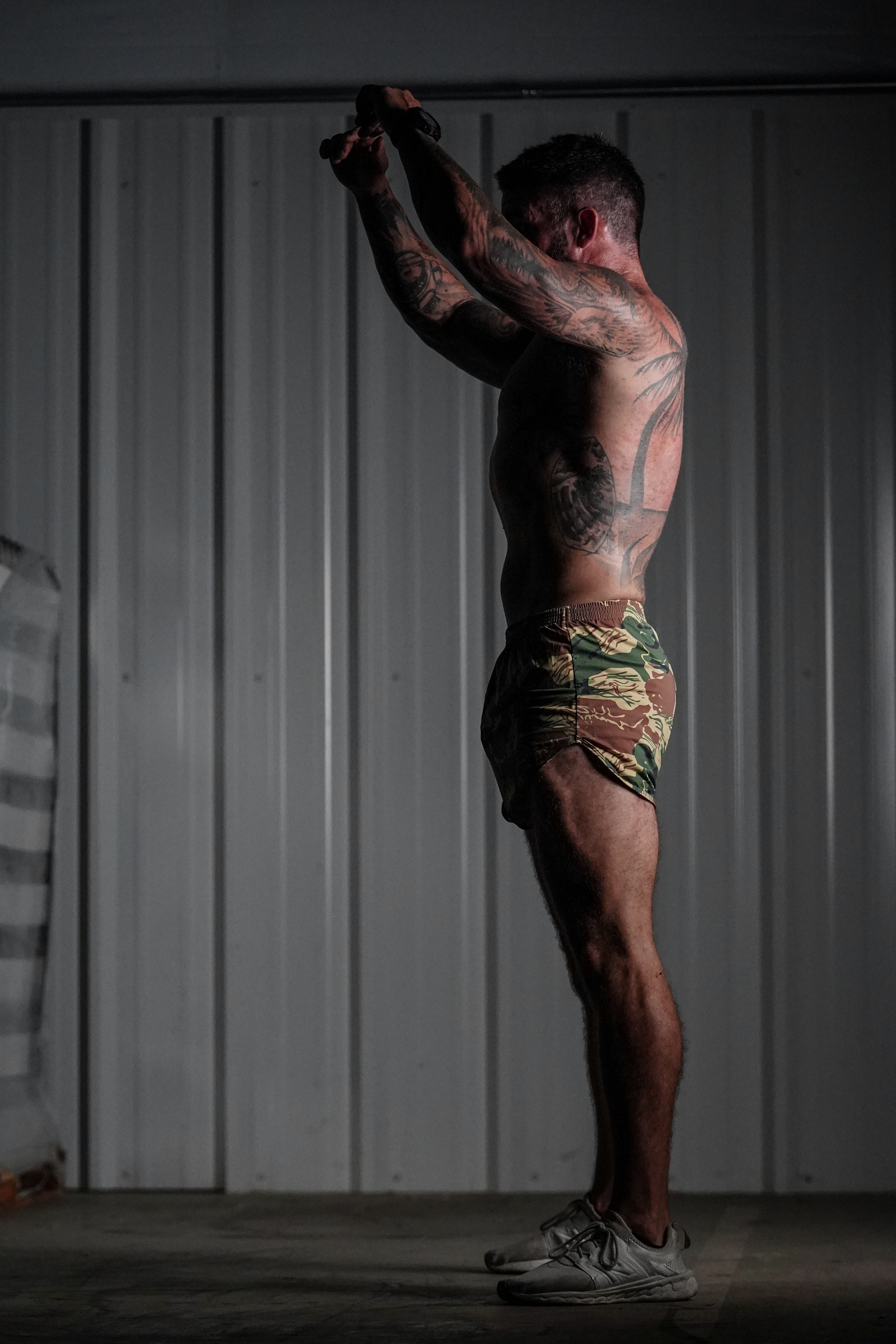 Silkies salvajes - Pincelada