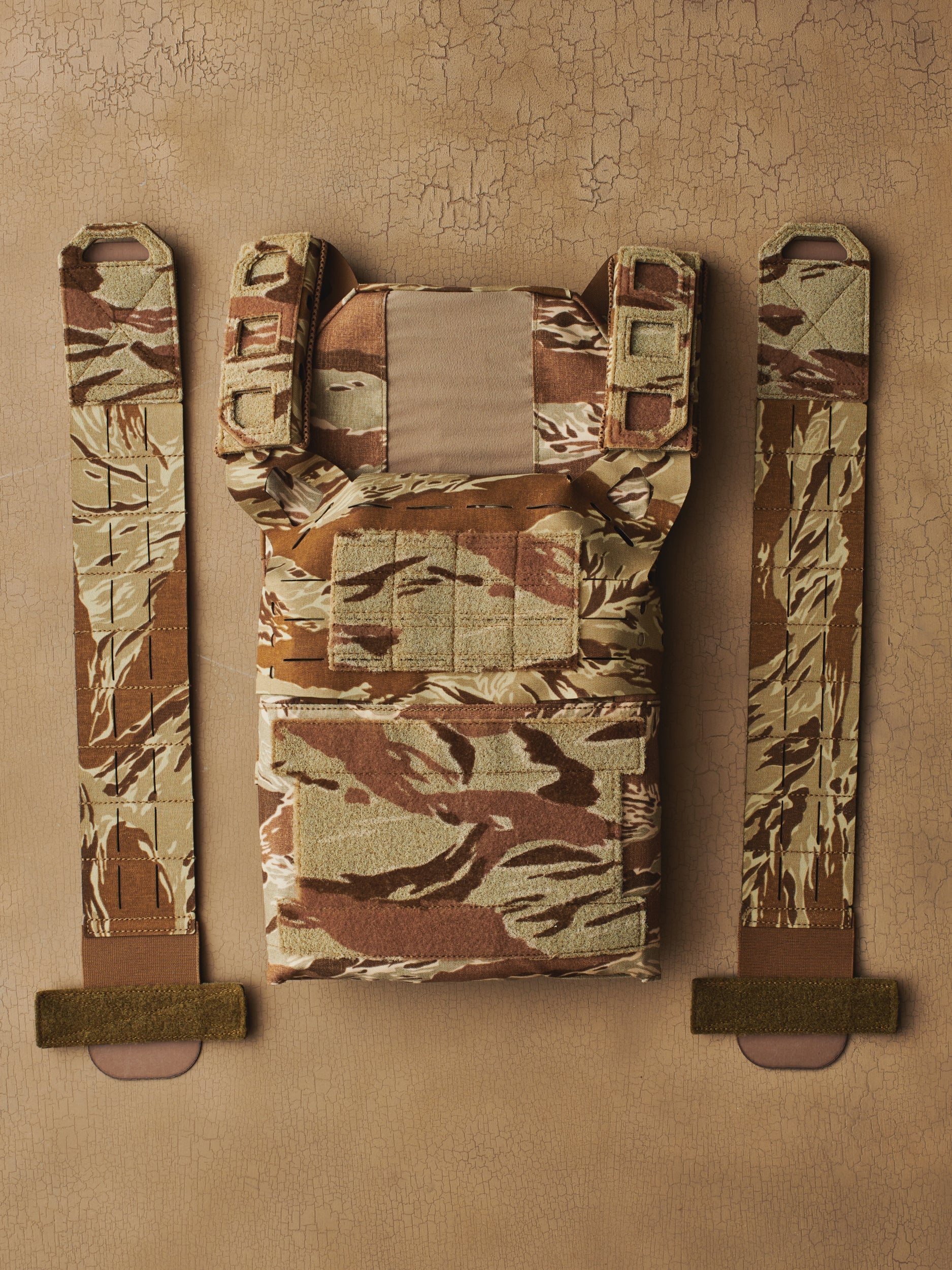 BETA Testing Plate Carrier