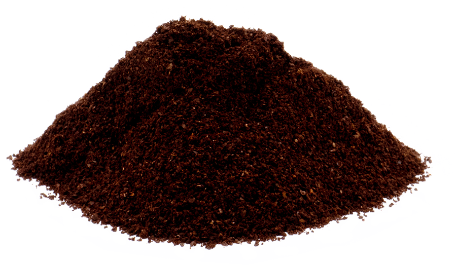 The First Emperor - Black & Tan Dark Coffee