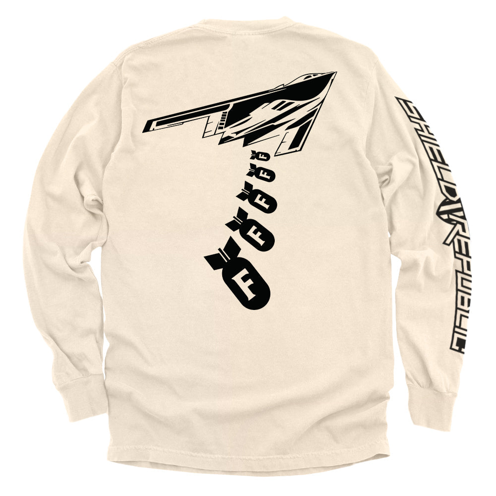 Dropping F Bombs B2 Bomber