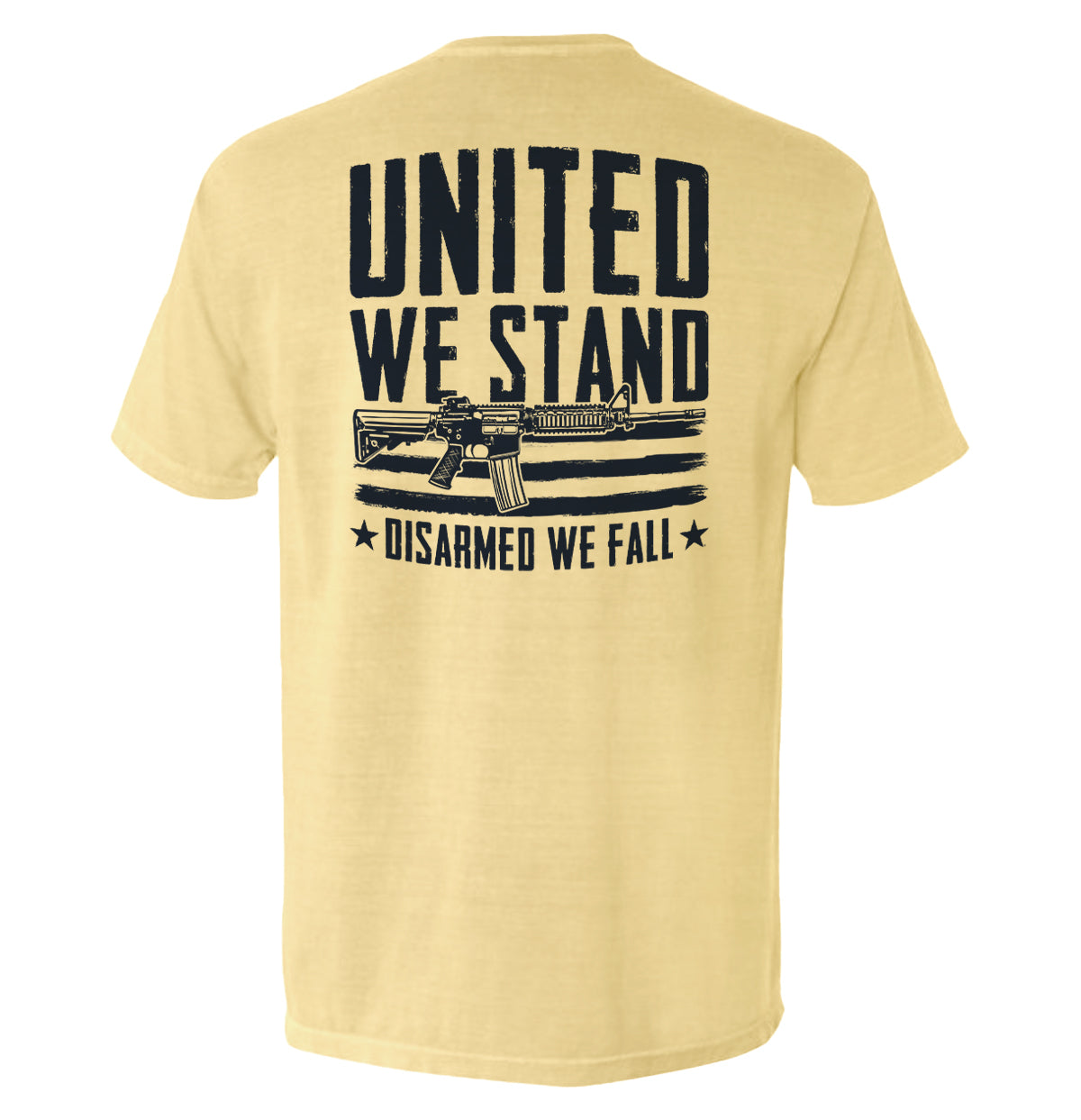 United We Stand Disarmed We Fall