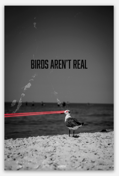 Birds Aren't Real Slap