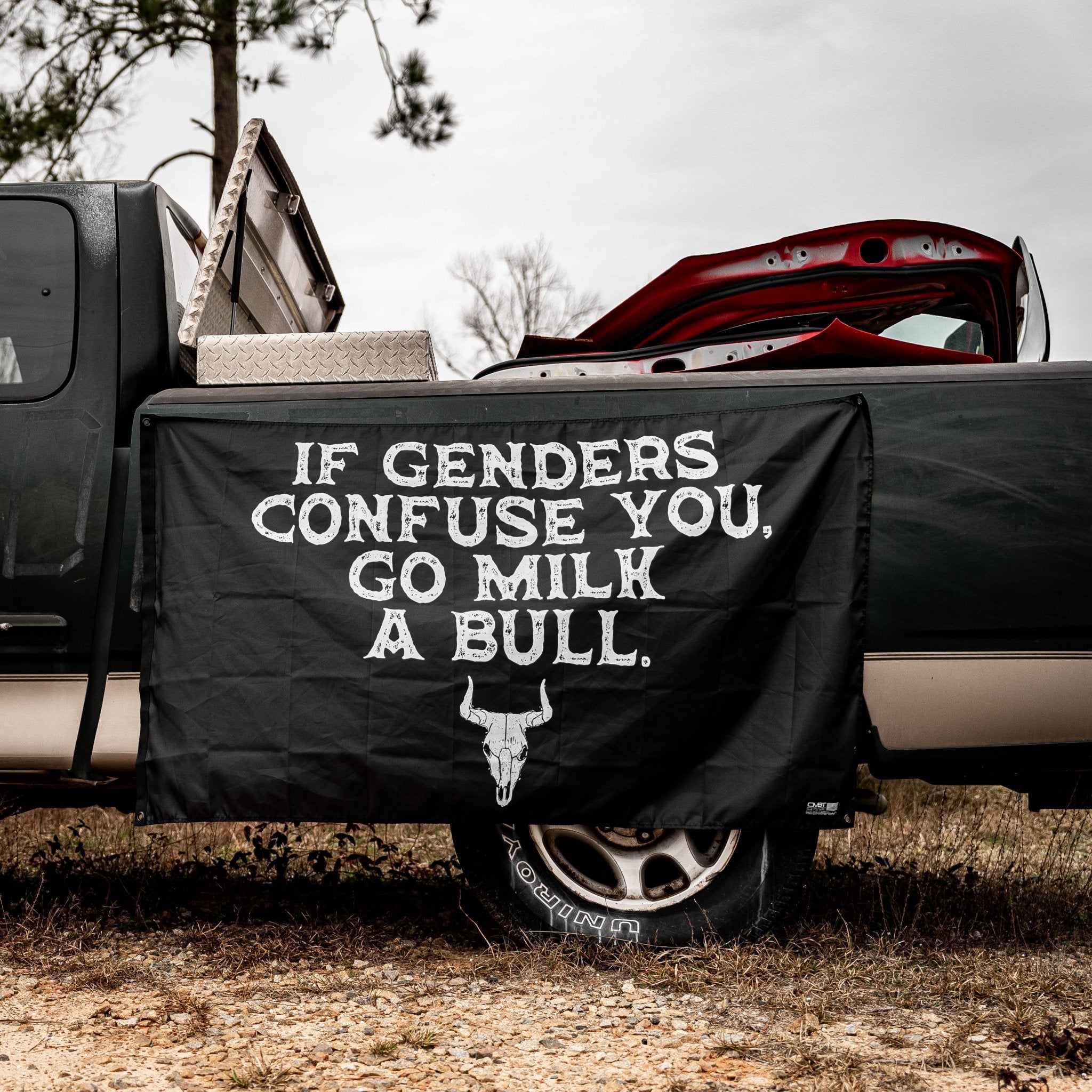 If Genders Confuse You, Go Milk A Bull 3'x5' Flag