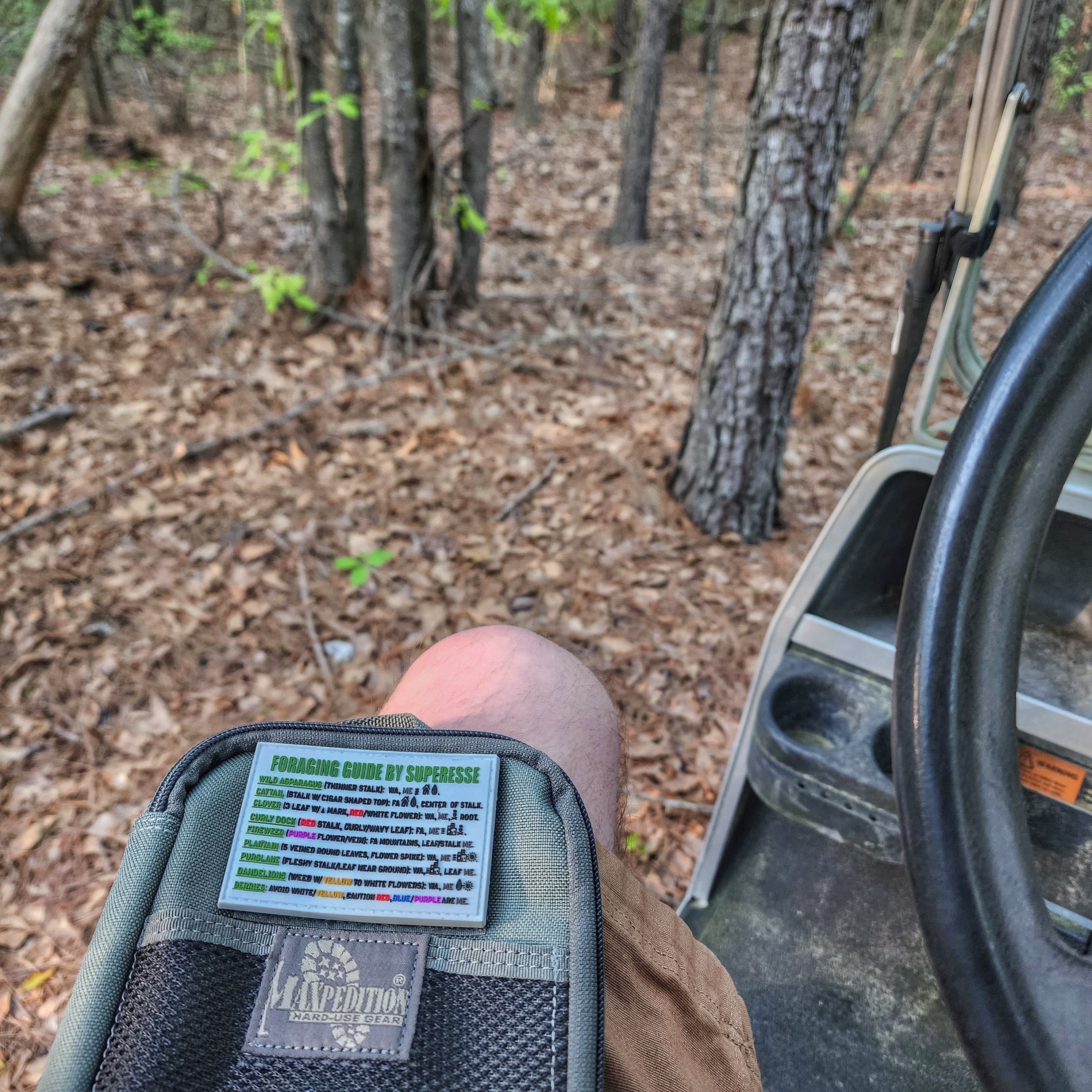 Storage Pocket Patch:  "Foraging Guide", a Plants and Edibles Quick Identification Reference