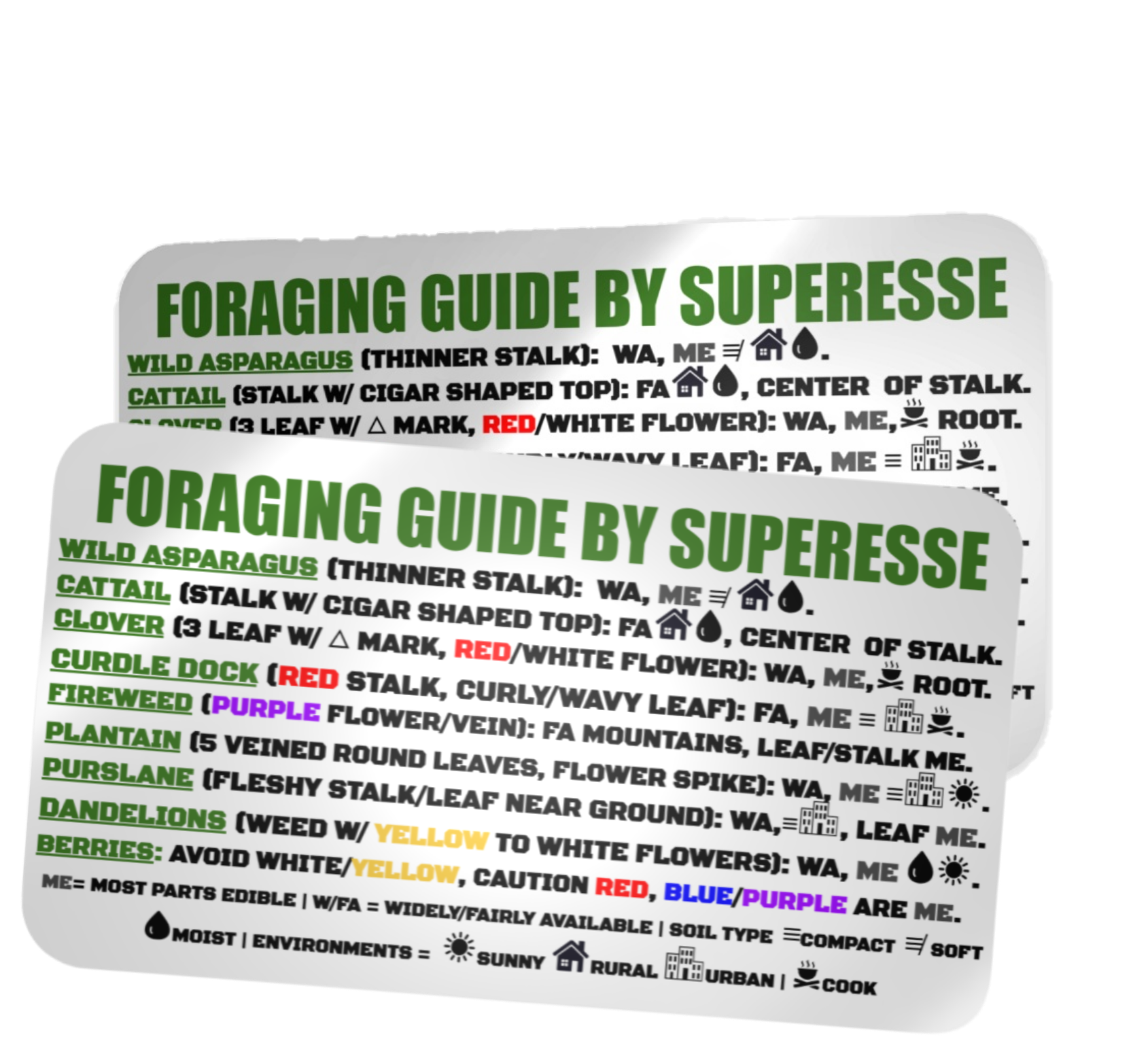 Foraging Guide Decal - Plants and Edibles Quick Identification Reference