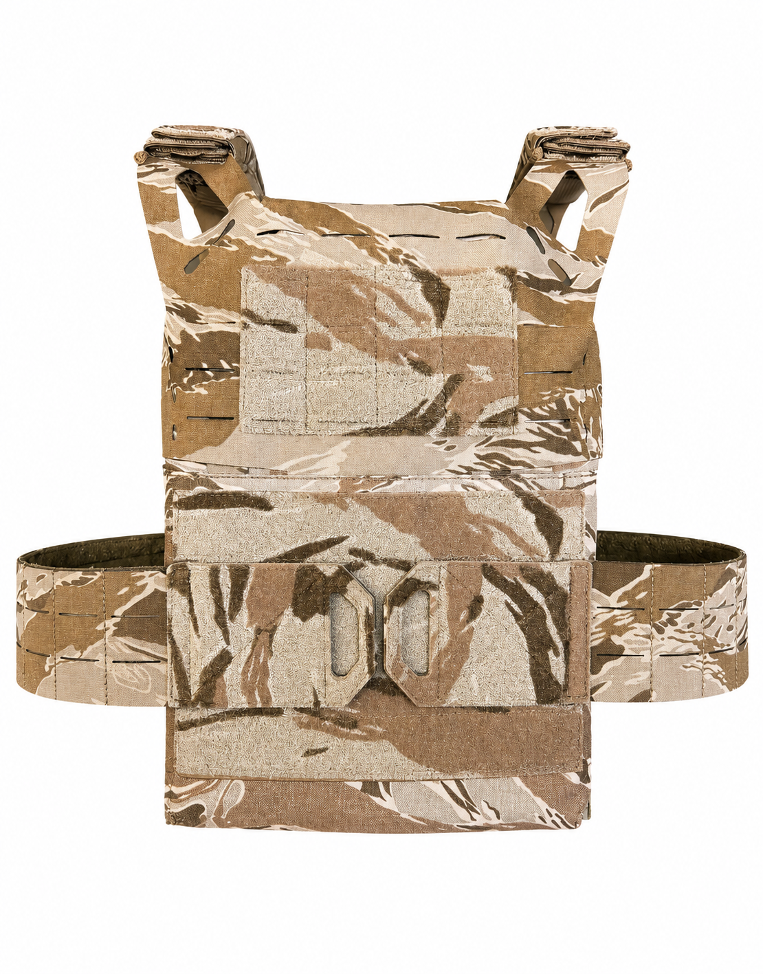 BETA Testing Plate Carrier