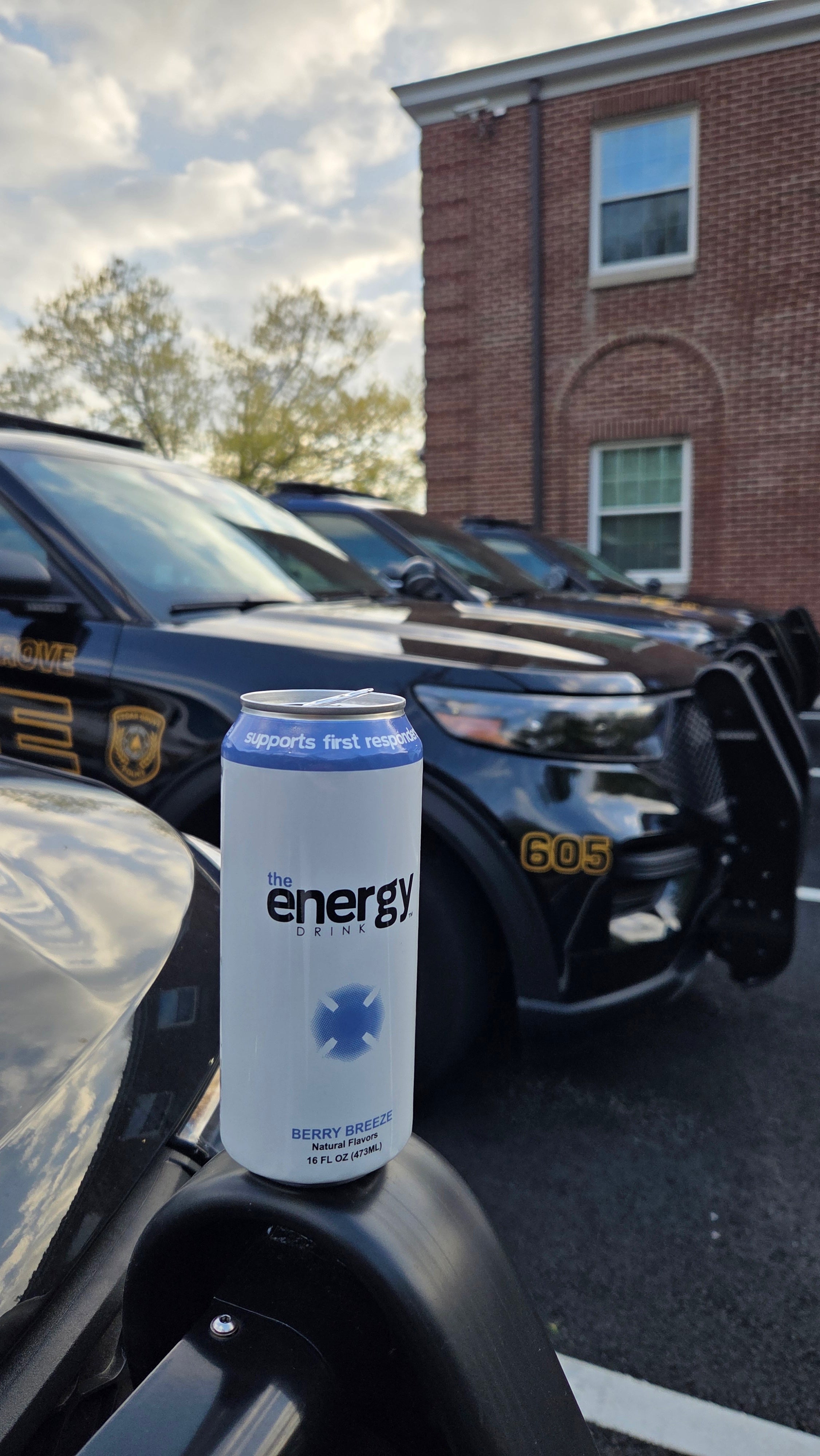 der Energy Drink™ Berry Blast 12er-Pack