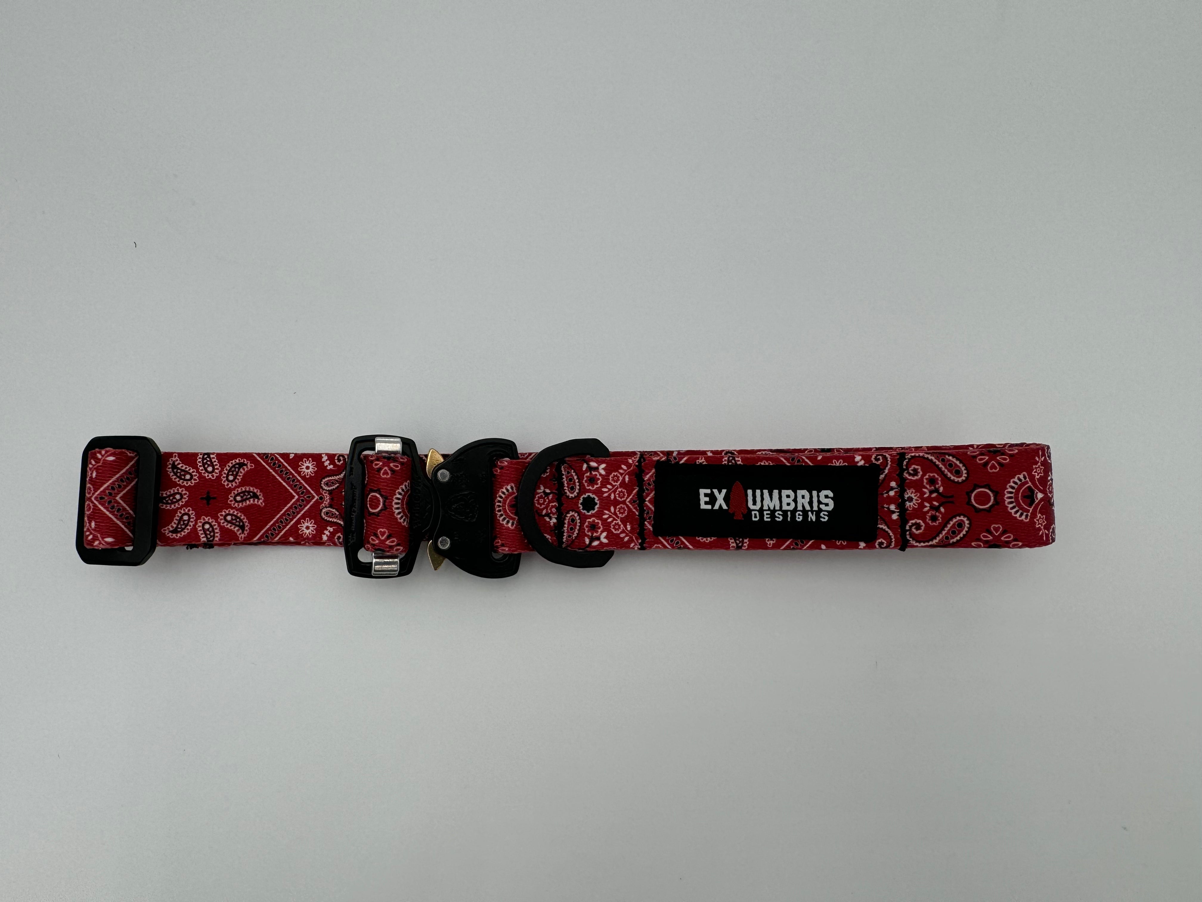 Cobra Buckle Dog Collar