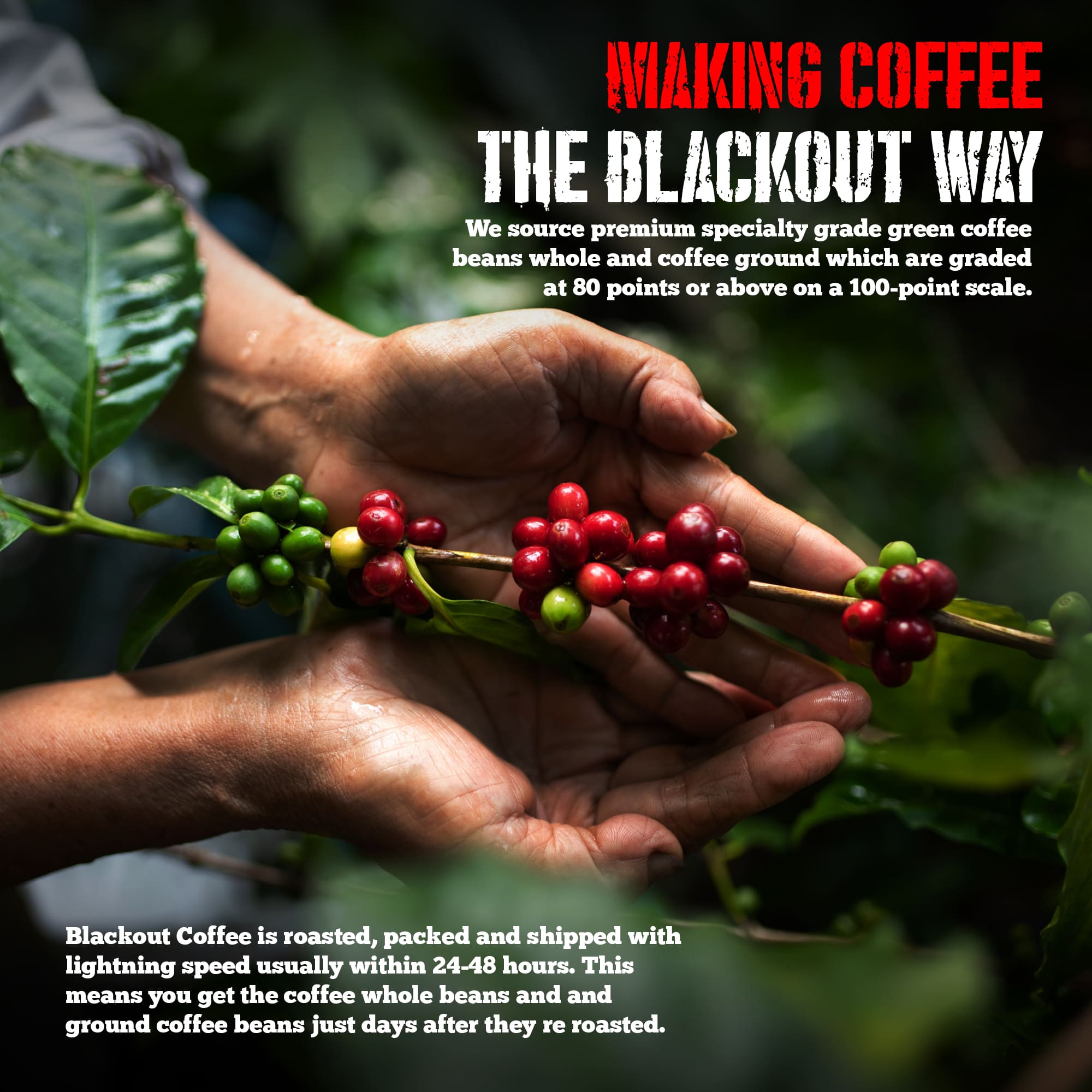 Blueberry Crumble Flavored Coffee