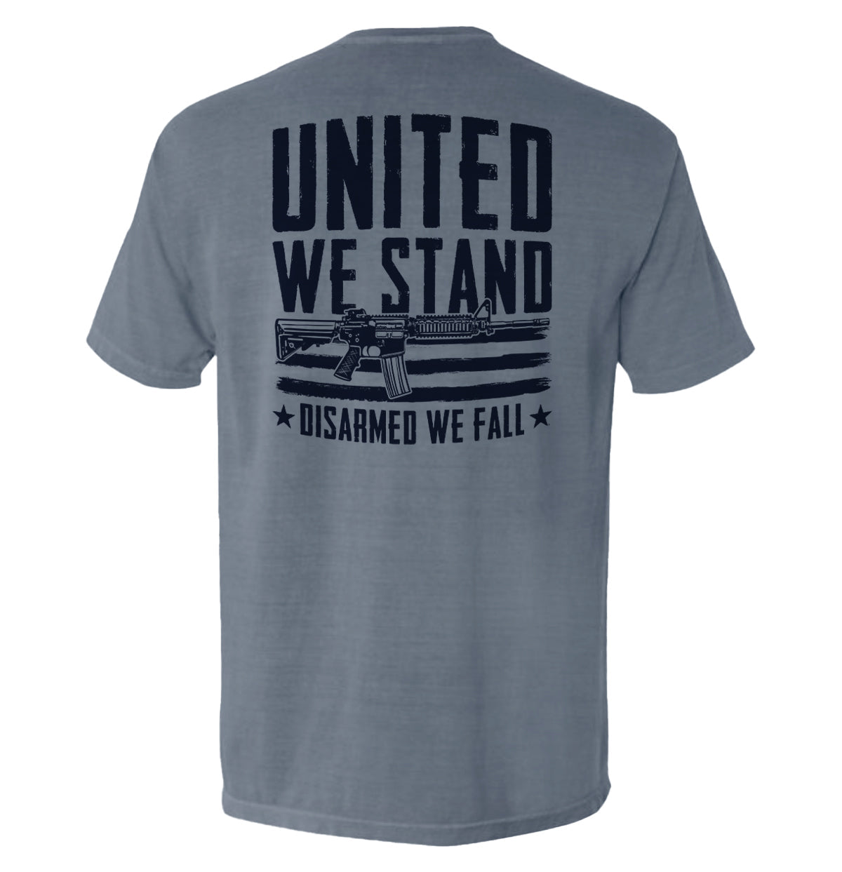 United We Stand Disarmed We Fall