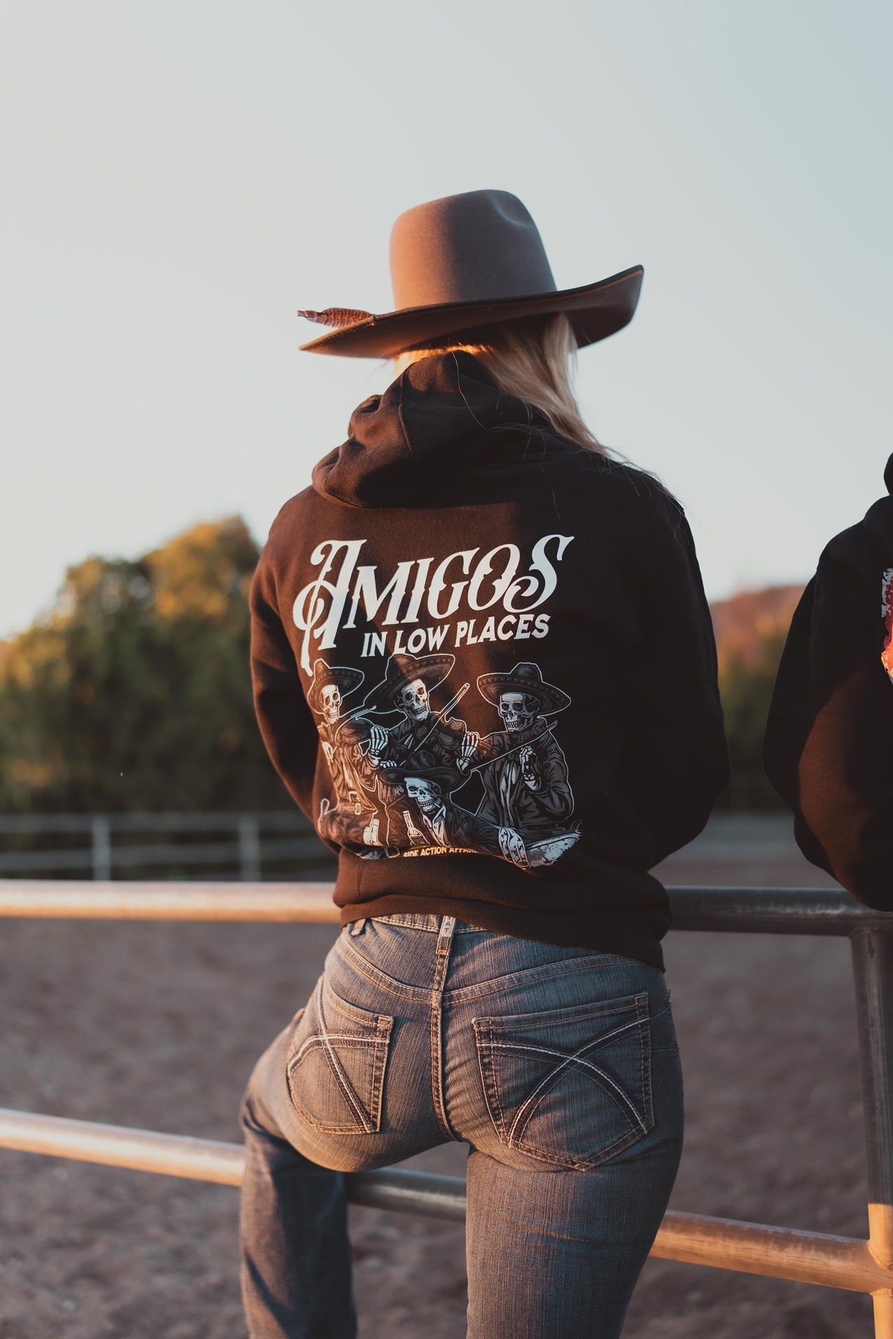 Amigos In Low Places Hoodie