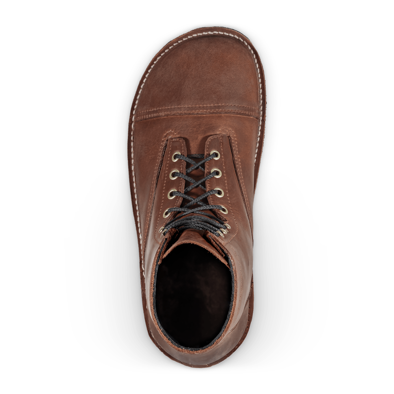 Bruin-Patriot - Crazy Horse