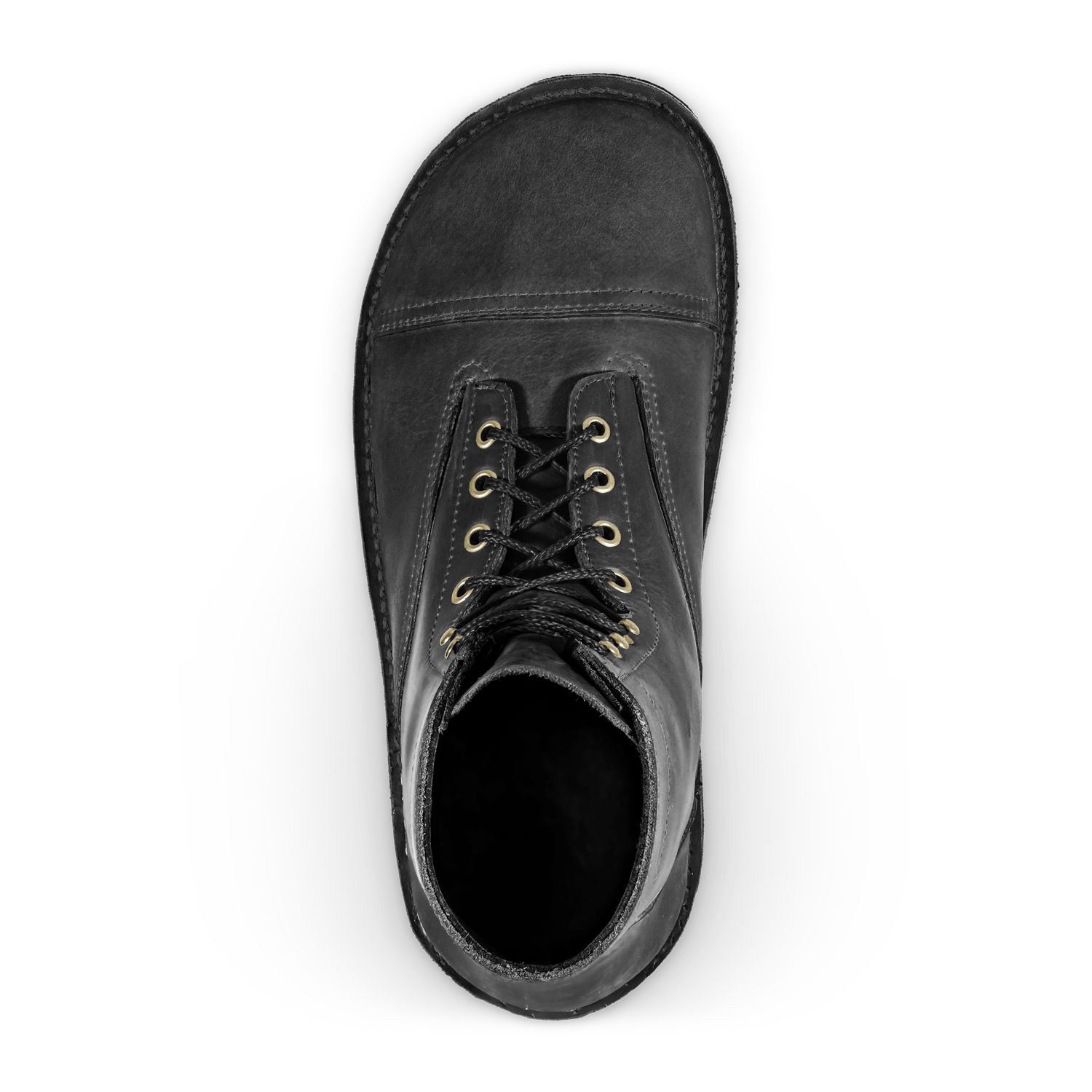 Bruin-Patriot - Dark Horse