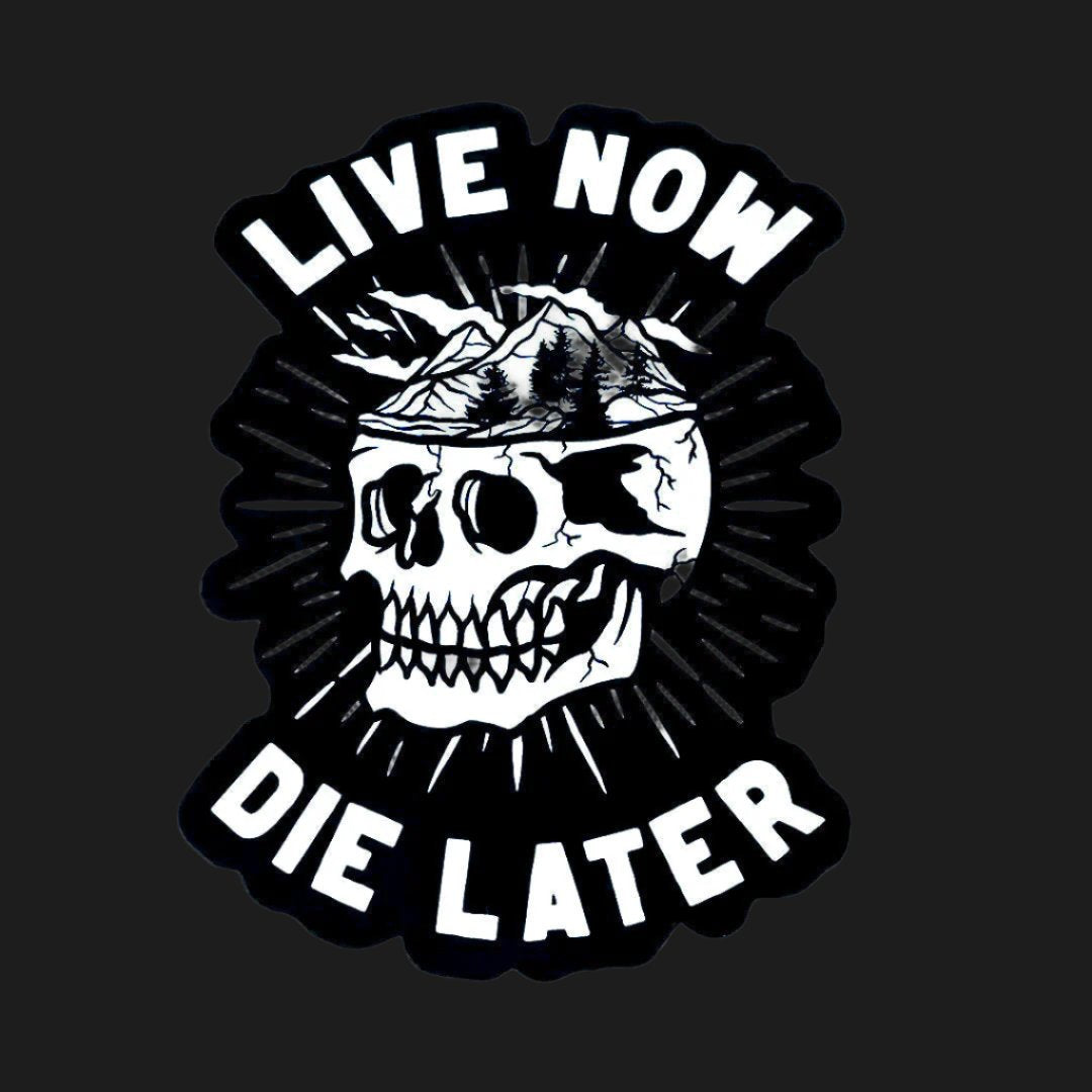 LIVE NOW DIE LATER STICKER